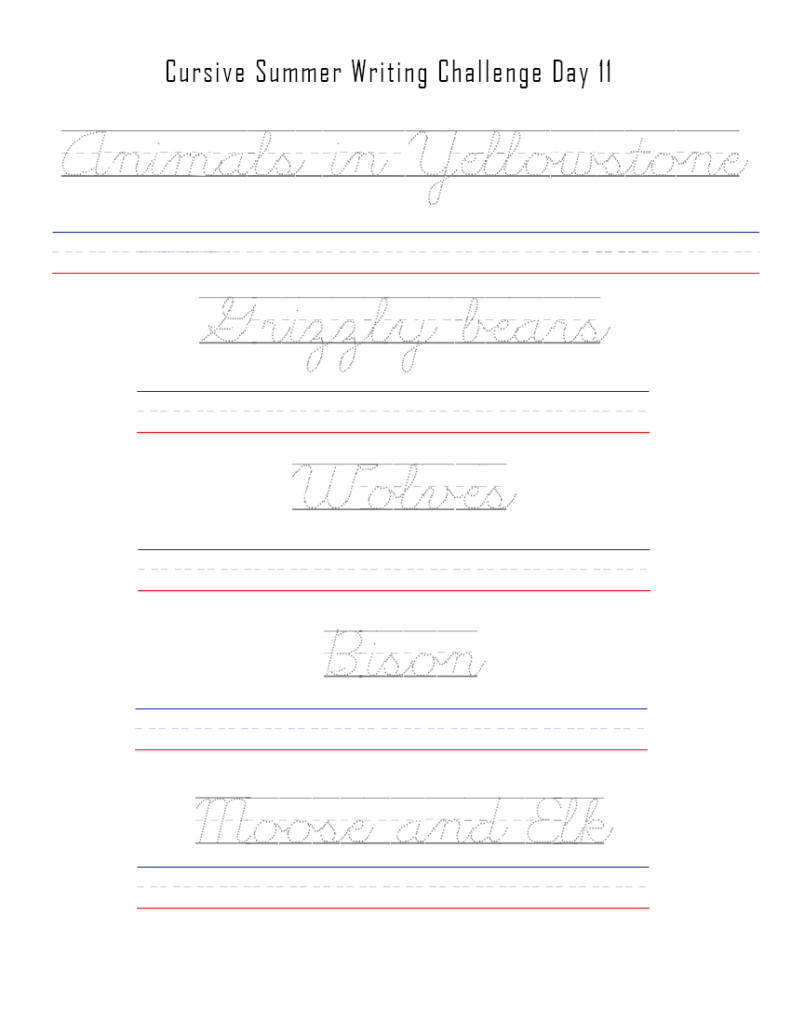 Download free page with cursive tracing names of animals in Yellowstone Park. 