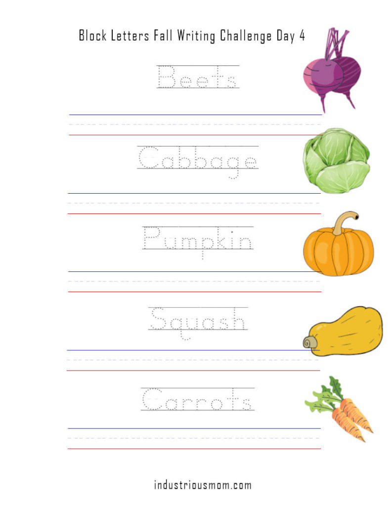 Block letters words to trace carrots, squash, pumpkin, cabbage, beets. Free printable worksheets for kindergarten and elementary 1st grade.