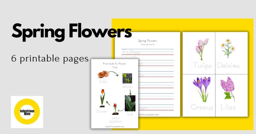 Tracing words worksheets spring flowers