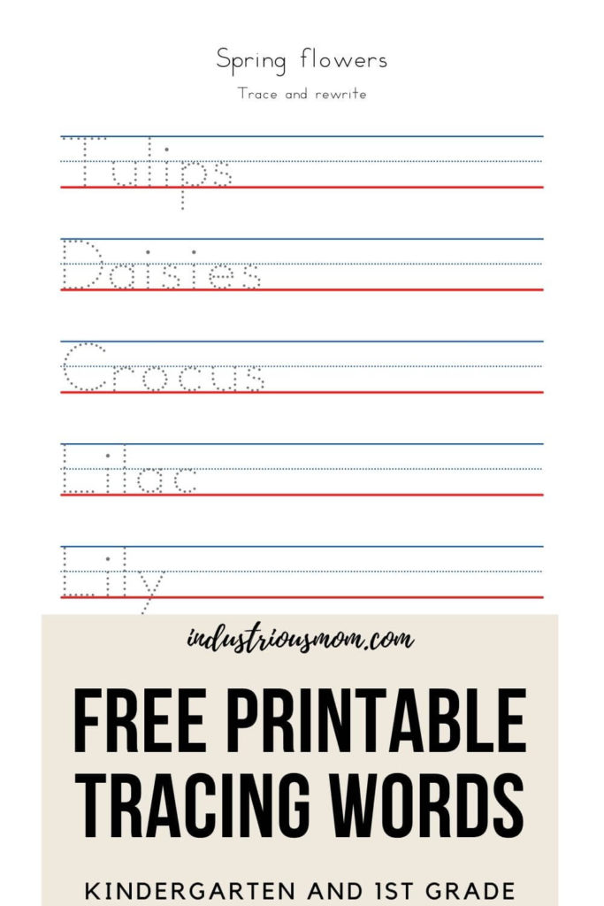 Printable worksheet with traceable names of the spring flowers Lily, Crocus, Lilac, Daisies, Tulips.