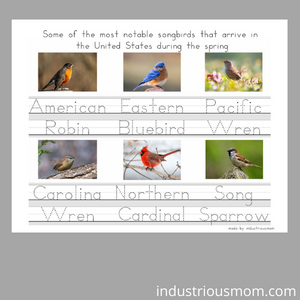 birds that return to US in spring worksheet for kids