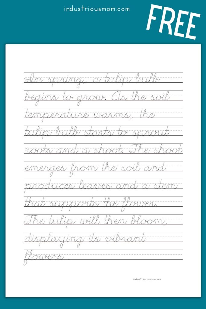 free cursive tracing page with small font