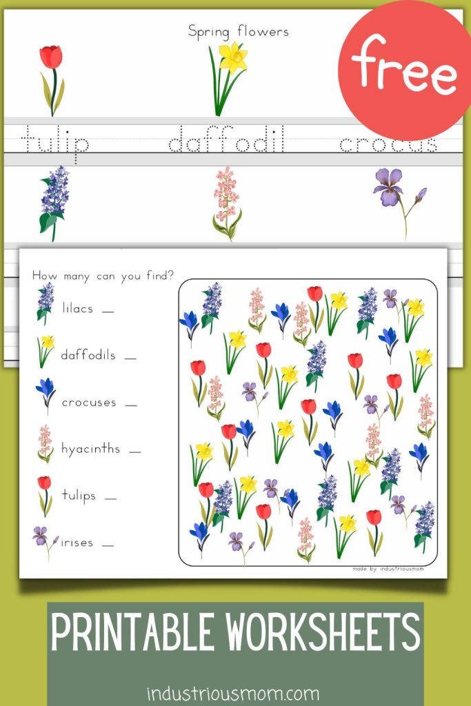 Printable worksheets for kids with spring flowers names to trace and counting flowers