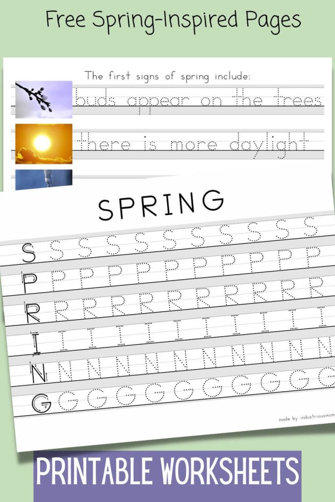 Two printable pages, on the first traceable letters from word SPRING on the second traceable sentences about first signs of spring