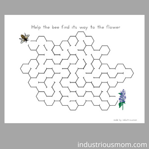 maze with bee and a flower for kids