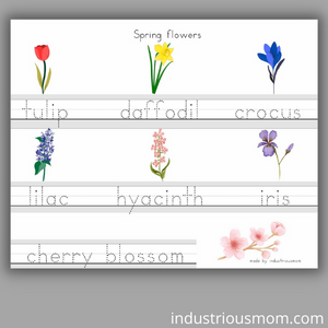 spring flowers traceable with pictures